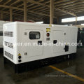 Silent Diesel Generator Работает от Cummins Engine (25kVA-250kVA)